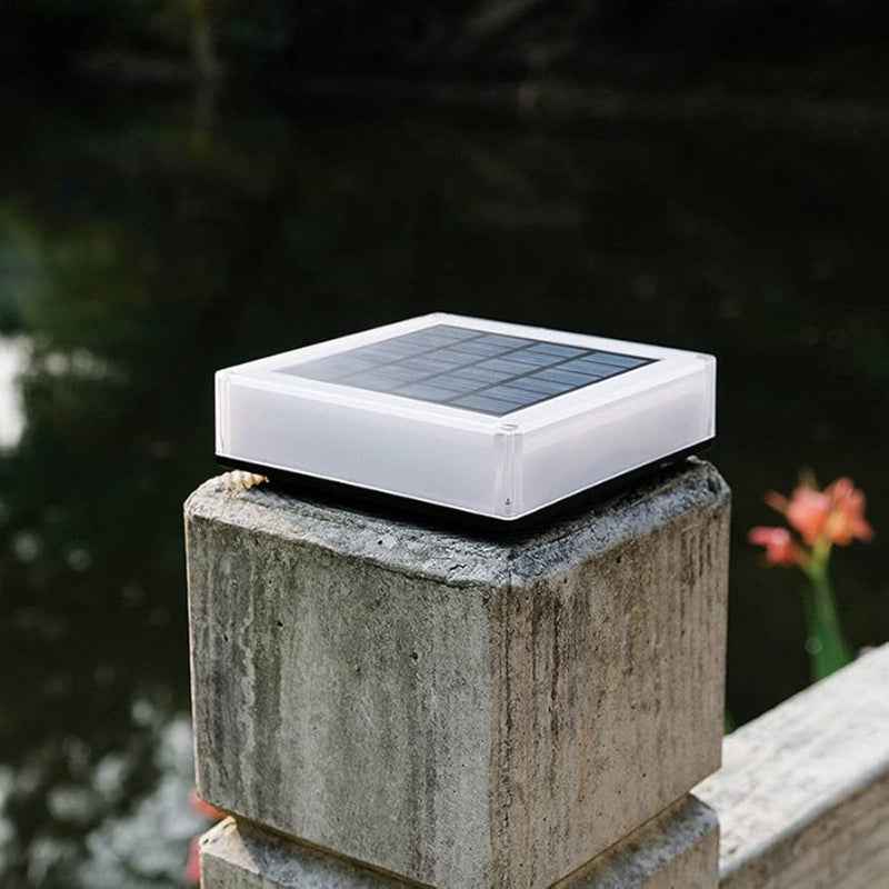 Synapik Luna Solar Lights