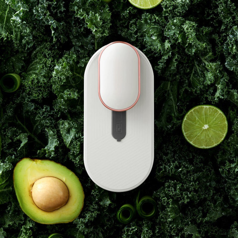 Synapik Mini Sterilizing Refrigerator Deodorizer for Freshness