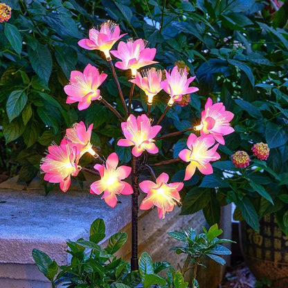 Synapik Camellia Solar Garden Flowers