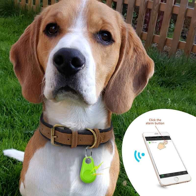 Synapik Bluetooth and GPS Pet Wireless Tracker