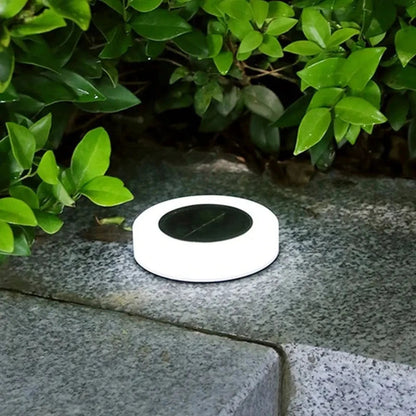 Synapik 4x Solar Pathway Lights
