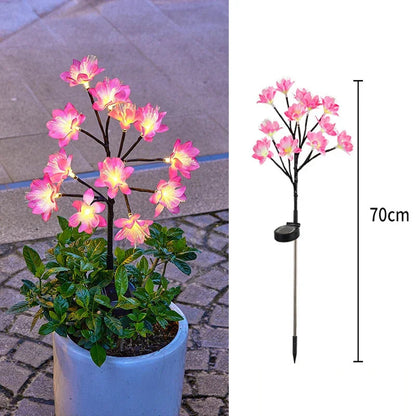 Synapik Camellia Solar Garden Flowers