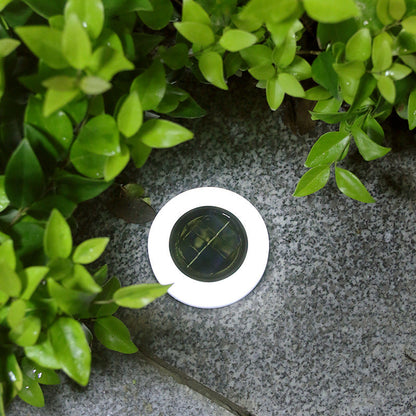 Synapik 4x Solar Pathway Lights