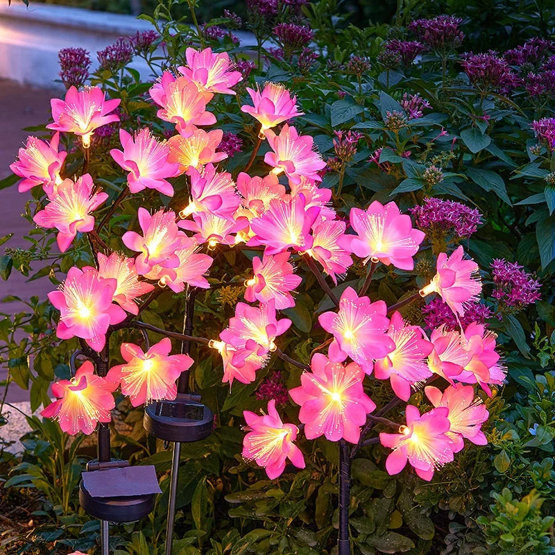 Synapik Camellia Solar Garden Flowers