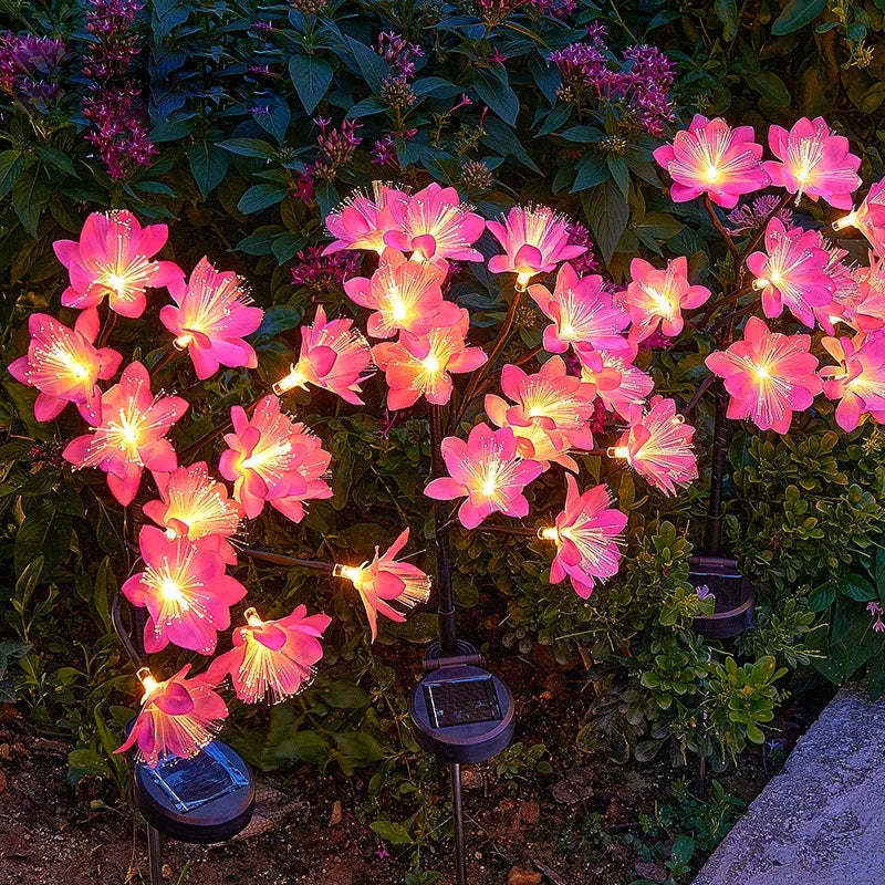 Synapik Camellia Solar Garden Flowers