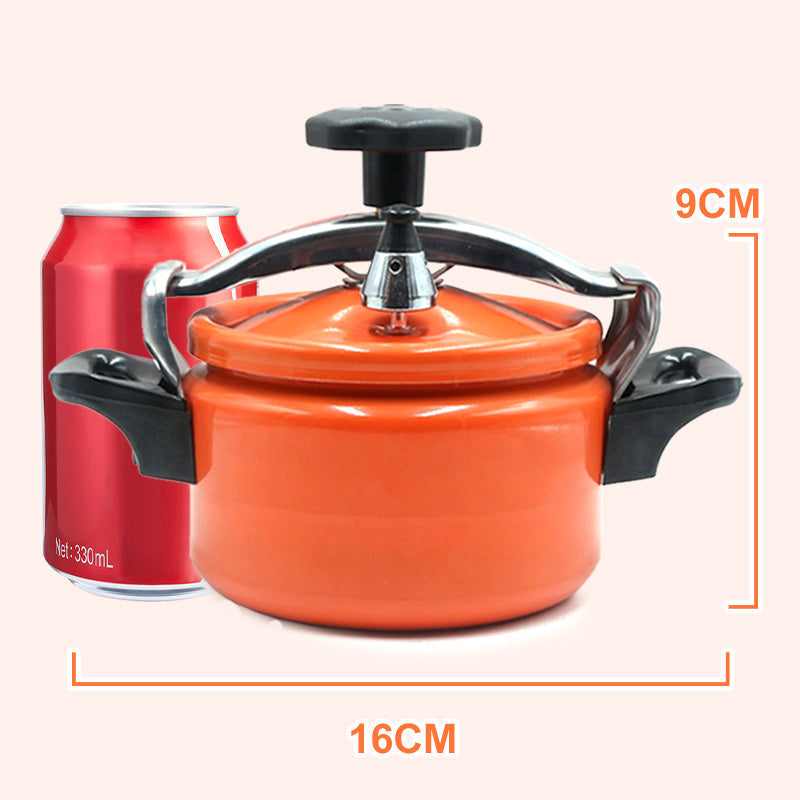 Synapik Uncoated Explosion-Proof Pressure Cooker Mini for Safe Cooking