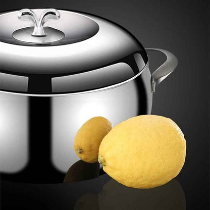 Synapik Stainless Steel Stock Pot with Lid - Durable & Versatile Cookware