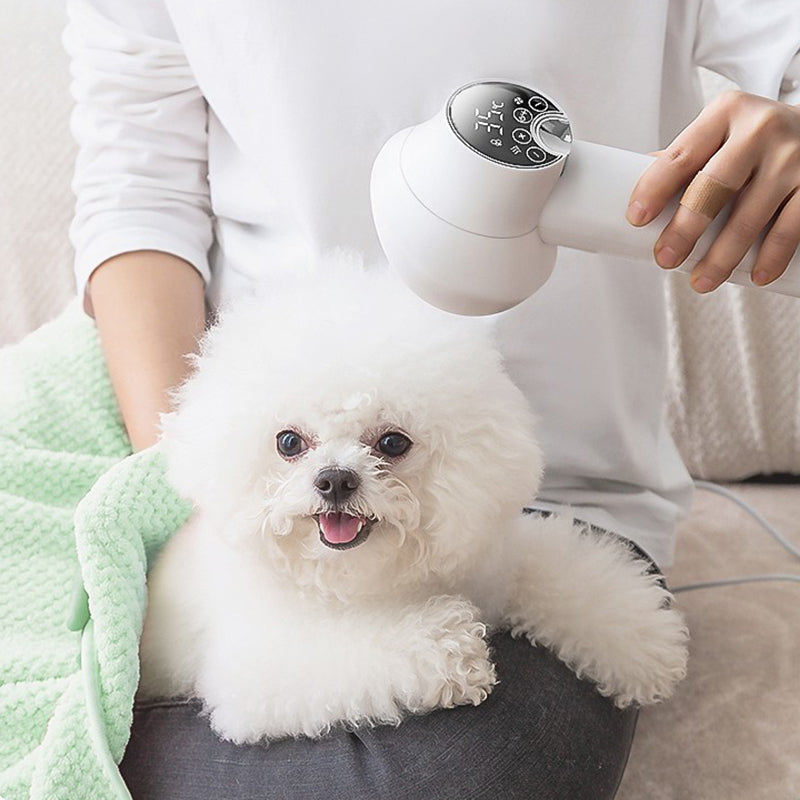 Synapik Low Noise Pet Hair Dryer with Slicker Brush for Gentle Grooming