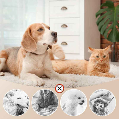 Synapik Low Noise Pet Hair Dryer with Slicker Brush for Gentle Grooming