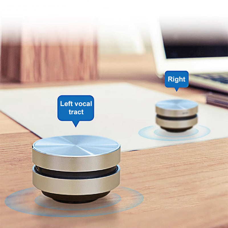 Synapik Car Speaker Audio - Transform Your Car into a Mini Osteoconductive Resonance Audio System
